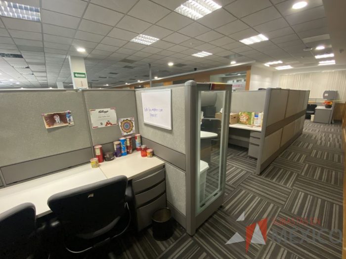 Lote 029 - Estación de trabajo para 12 personas con mampara alta con 12 gavetas - Imagen 7