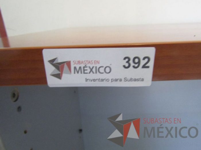Lote 018 - Gabinete metálico - Imagen 2