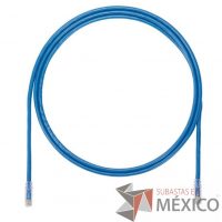 Lote 004 - 20 Patch Cord PANDUIT, Cat 6, 5 metros (Nuevo)