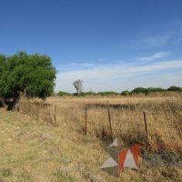 Lote 014 - Terreno - Tequisquiapan, Querétaro - Imagen 5