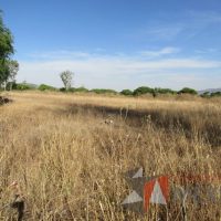 Lote 014 - Terreno - Tequisquiapan, Querétaro - Imagen 6