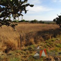 Lote 014 - Terreno - Tequisquiapan, Querétaro - Imagen 7