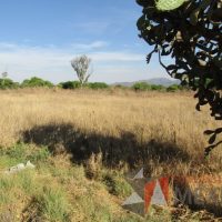 Lote 014 - Terreno - Tequisquiapan, Querétaro - Imagen 8