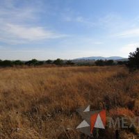 Lote 014 - Terreno - Tequisquiapan, Querétaro
