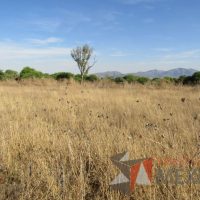 Lote 014 - Terreno - Tequisquiapan, Querétaro - Imagen 10