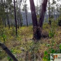 Lote 005 - Terreno para Casa Habitación - Cuautitlán Izcalli, Estado de México