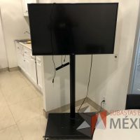 Lote 032 - Pantalla 43" y soporte para pantalla con ruedas