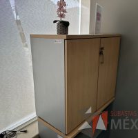 Lote 038 - Gabinete de 2 puertas y con 1 entrepaño - Imagen 5