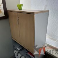 Lote 038 - Gabinete de 2 puertas y con 1 entrepaño - Imagen 2