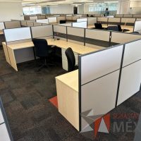 Lote 005 - Estación de trabajo para 10 personas