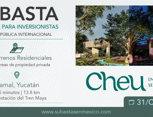 SUBASTA CHEU – Encanto Sensorial – 31 de octubre 2024