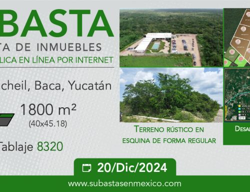 Subasta de Terreno – Tixcuncheil, Baca, Yucatán