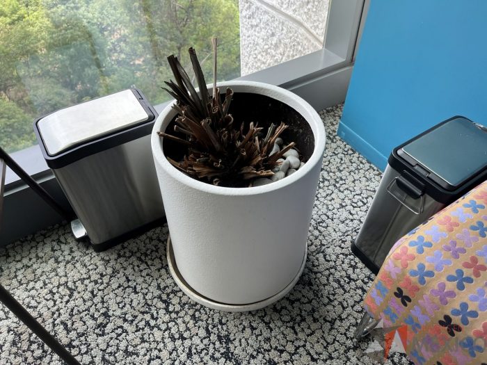 Lote 012 - Maceta con planta