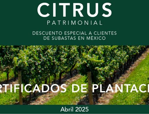 Citrus Patrimonial