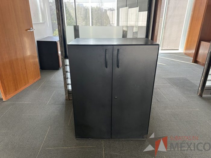 Lote 046 - Gabinete metálico de 2 puertas y 2 entrepaños